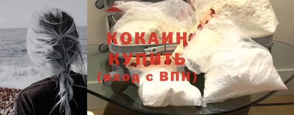 бошки Каменка