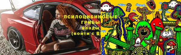 apvp Янаул