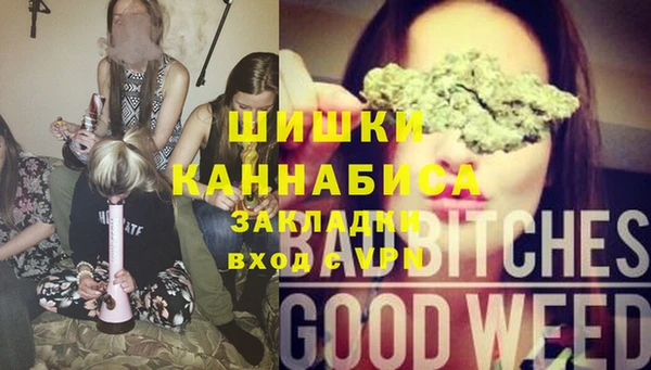 бошки Каменка