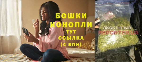 бошки Каменка